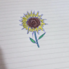 tahys_t